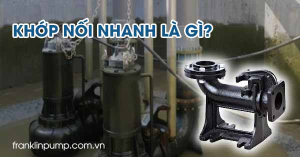 Khop Noi Nhanh La Gì